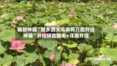 辅助神器“越乡游义乌麻将万能开挂神器”开挂辅助脚本+详细开挂