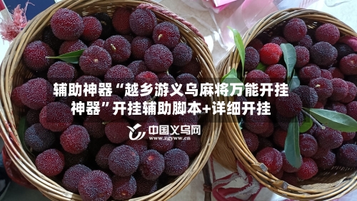 辅助神器“越乡游义乌麻将万能开挂神器”开挂辅助脚本+详细开挂-第2张图片