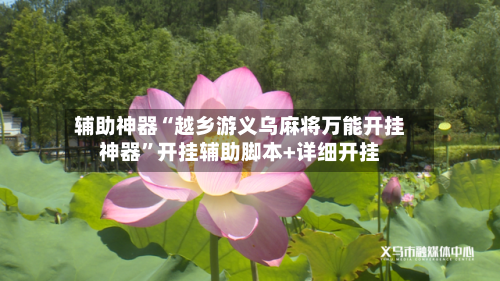辅助神器“越乡游义乌麻将万能开挂神器”开挂辅助脚本+详细开挂-第3张图片