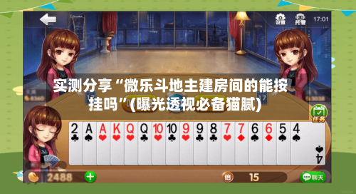 实测分享“微乐斗地主建房间的能按挂吗”(曝光透视必备猫腻)-第2张图片