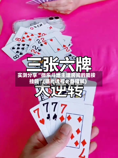 实测分享“微乐斗地主建房间的能按挂吗”(曝光透视必备猫腻)-第3张图片