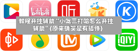 教程开挂辅助“小吆三打哈怎么开挂辅助”(原来确实是有插件)-第3张图片