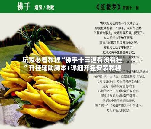 玩家必看教程“佛手十三道有没有挂”开挂辅助脚本+详细开挂安装教程