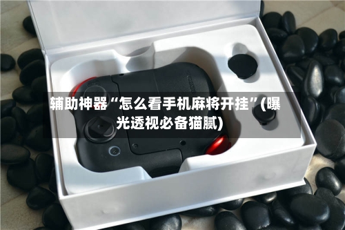 辅助神器“怎么看手机麻将开挂	”(曝光透视必备猫腻)-第3张图片