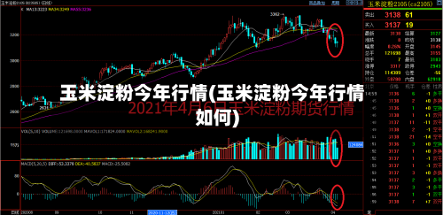 玉米淀粉今年行情(玉米淀粉今年行情如何)