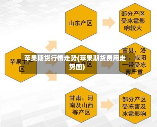 苹果期货行情走势(苹果期货费用走势图)
