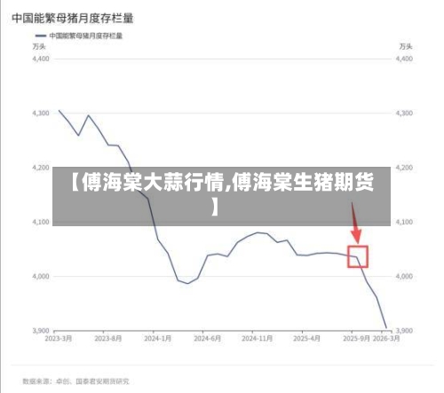 【傅海棠大蒜行情,傅海棠生猪期货】-第3张图片