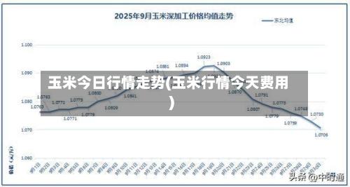 玉米今日行情走势(玉米行情今天费用)