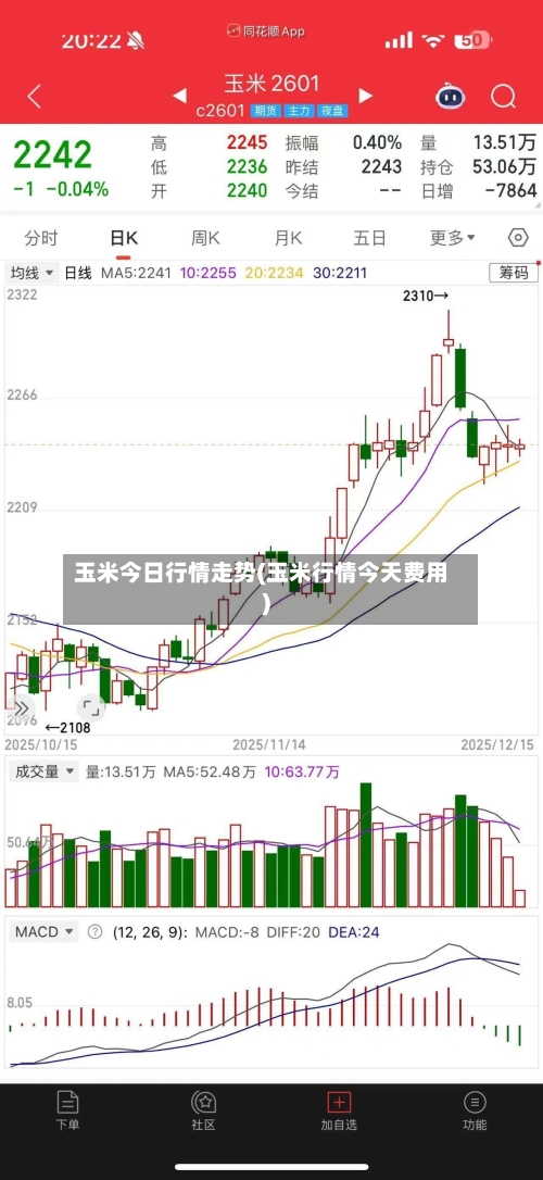 玉米今日行情走势(玉米行情今天费用)-第2张图片