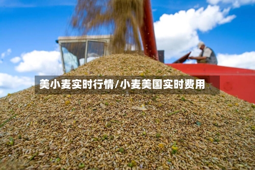 美小麦实时行情/小麦美国实时费用-第3张图片