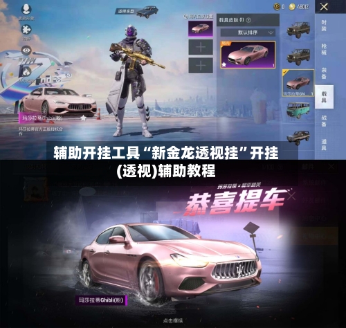 辅助开挂工具“新金龙透视挂”开挂(透视)辅助教程-第3张图片