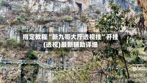 指定教程“新九哥大厅透视挂”开挂(透视)最新辅助详细