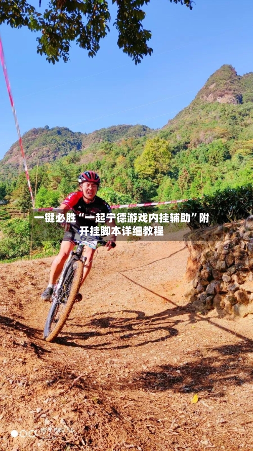 一键必胜“一起宁德游戏内挂辅助”附开挂脚本详细教程-第2张图片