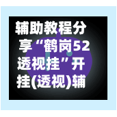 辅助教程分享“鹤岗52透视挂”开挂(透视)辅助神器