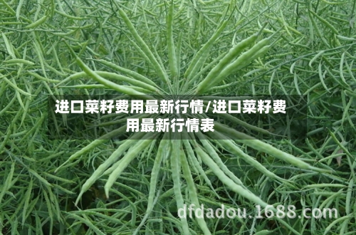进口菜籽费用最新行情/进口菜籽费用最新行情表