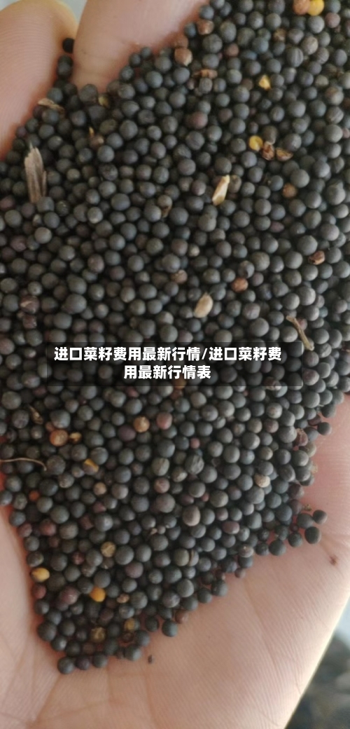 进口菜籽费用最新行情/进口菜籽费用最新行情表-第2张图片