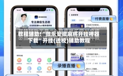 教程辅助!“微乐安徽麻将开挂神器下载	”开挂(透视)辅助教程-第2张图片