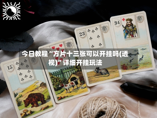今日教程“方片十三张可以开挂吗(透视)”详细开挂玩法-第2张图片