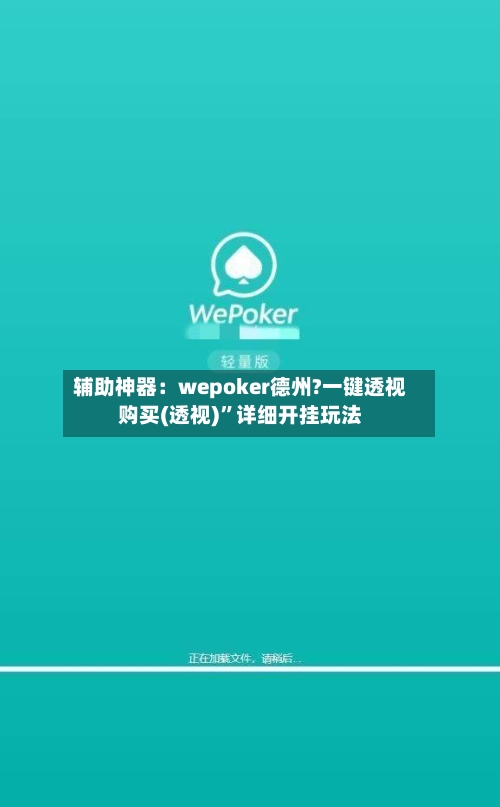 辅助神器：wepoker德州?一键透视购买(透视)”详细开挂玩法-第2张图片