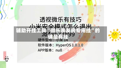 辅助开挂工具“微乐亲友房专用挂”的确是有挂