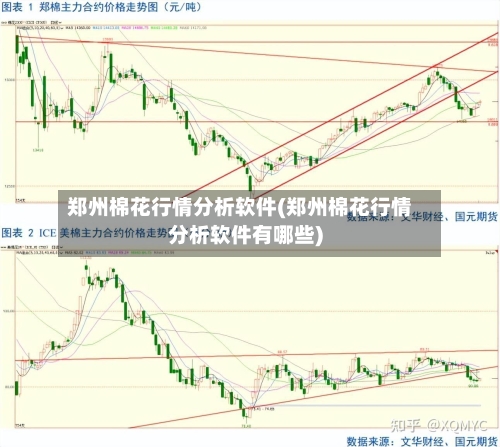 郑州棉花行情分析软件(郑州棉花行情分析软件有哪些)-第3张图片