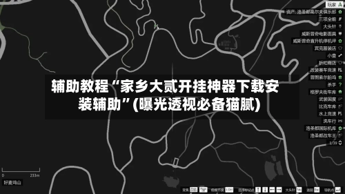 辅助教程“家乡大贰开挂神器下载安装辅助”(曝光透视必备猫腻)-第3张图片