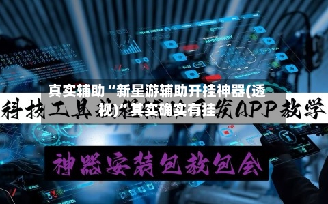 真实辅助“新星游辅助开挂神器(透视)”其实确实有挂-第2张图片