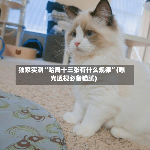 独家实测“哈局十三张有什么规律”(曝光透视必备猫腻)-第2张图片