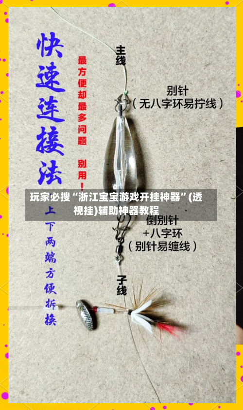 玩家必搜“浙江宝宝游戏开挂神器”(透视挂)辅助神器教程-第2张图片