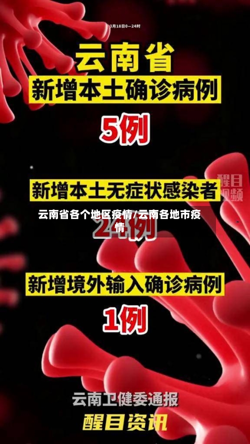 云南省各个地区疫情/云南各地市疫情