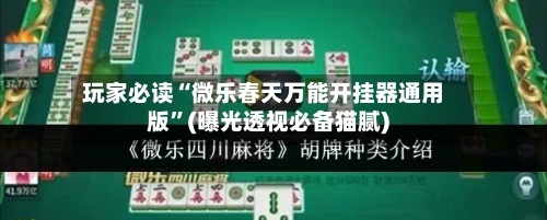 玩家必读“微乐春天万能开挂器通用版”(曝光透视必备猫腻)-第3张图片