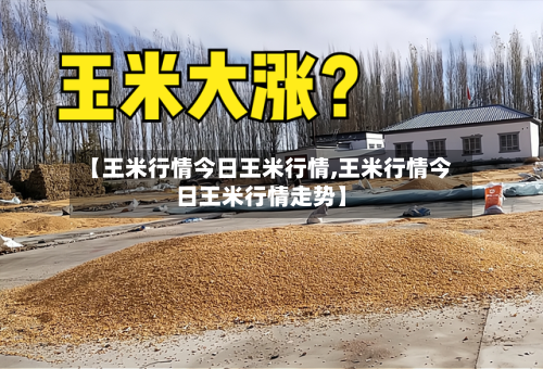 【王米行情今日王米行情,王米行情今日王米行情走势】-第3张图片