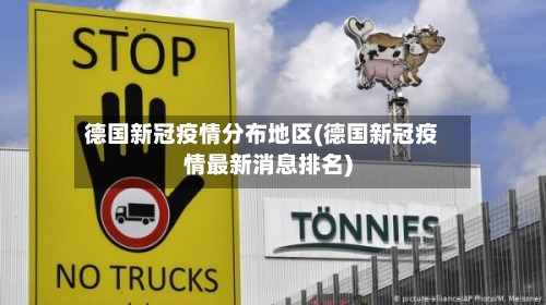 德国新冠疫情分布地区(德国新冠疫情最新消息排名)-第2张图片
