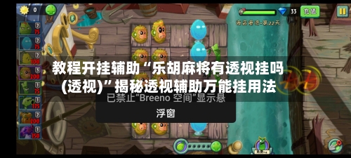 教程开挂辅助“乐胡麻将有透视挂吗(透视)	”揭秘透视辅助万能挂用法-第2张图片