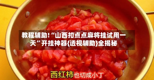 教程辅助!“山西扣点点麻将挂试用一天”开挂神器{透视辅助}全揭秘-第3张图片