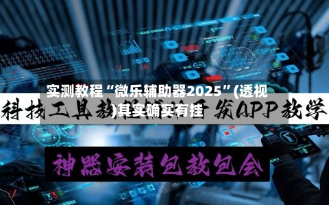 实测教程“微乐辅助器2025”(透视)其实确实有挂-第2张图片