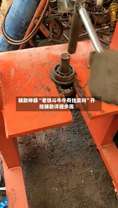 辅助神器“老铁斗牛牛有挂卖吗”开挂辅助详细步骤