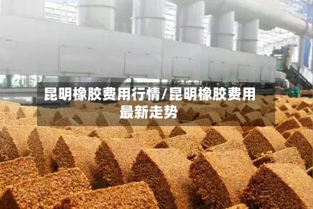 昆明橡胶费用行情/昆明橡胶费用最新走势-第2张图片