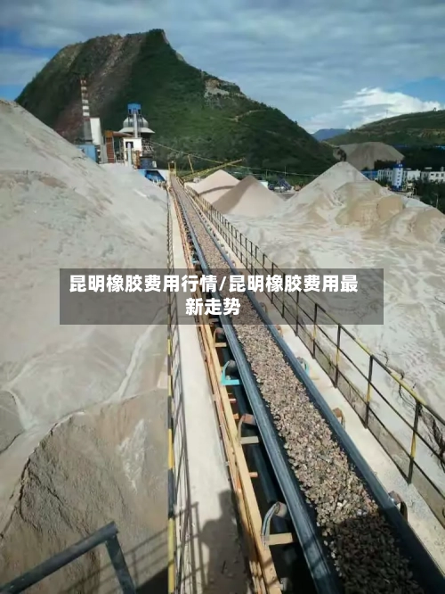 昆明橡胶费用行情/昆明橡胶费用最新走势