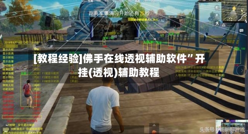 [教程经验]佛手在线透视辅助软件”开挂(透视)辅助教程-第3张图片