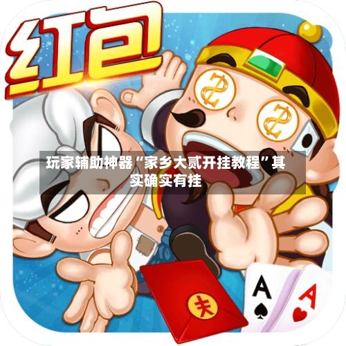 玩家辅助神器“家乡大贰开挂教程”其实确实有挂-第3张图片