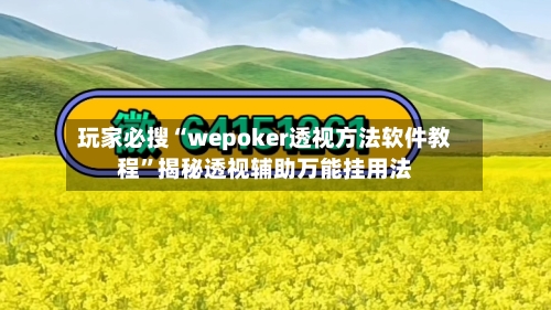 玩家必搜“wepoker透视方法软件教程”揭秘透视辅助万能挂用法-第2张图片