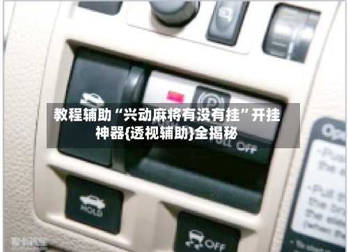 教程辅助“兴动麻将有没有挂”开挂神器{透视辅助}全揭秘-第2张图片