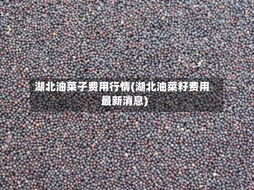 湖北油菜子费用行情(湖北油菜籽费用最新消息)