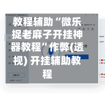教程辅助“微乐捉老麻子开挂神器教程	”作弊(透视) 开挂辅助教程-第2张图片