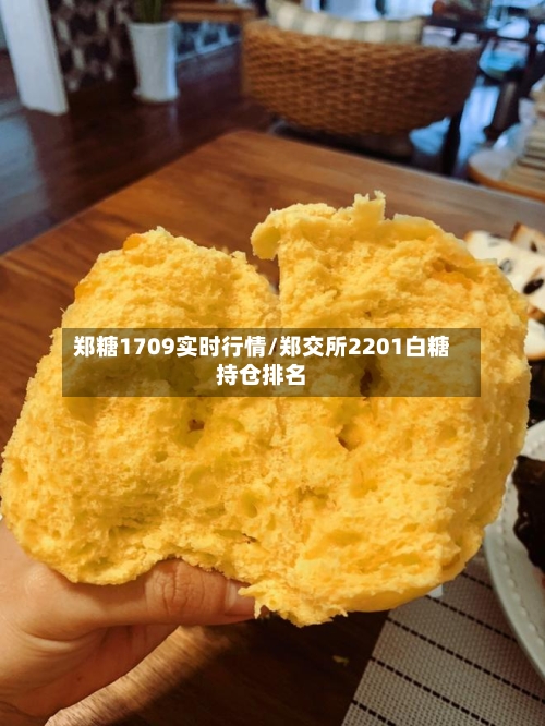 郑糖1709实时行情/郑交所2201白糖持仓排名-第2张图片