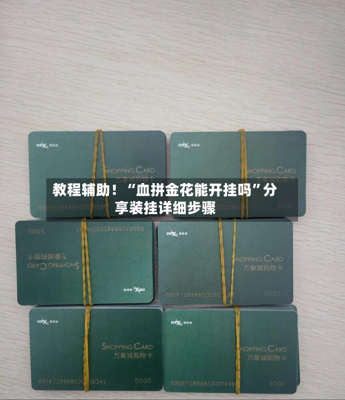 教程辅助！“血拼金花能开挂吗”分享装挂详细步骤-第2张图片