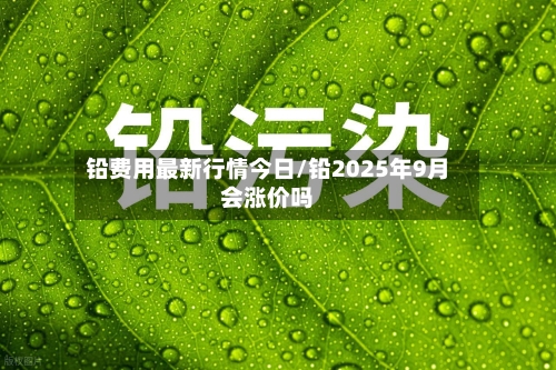 铅费用最新行情今日/铅2025年9月会涨价吗-第3张图片
