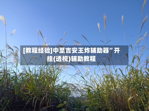 [教程经验]中至吉安王炸辅助器”开挂(透视)辅助教程-第2张图片