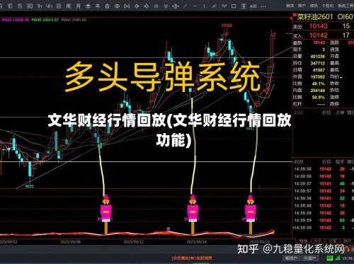 文华财经行情回放(文华财经行情回放功能)